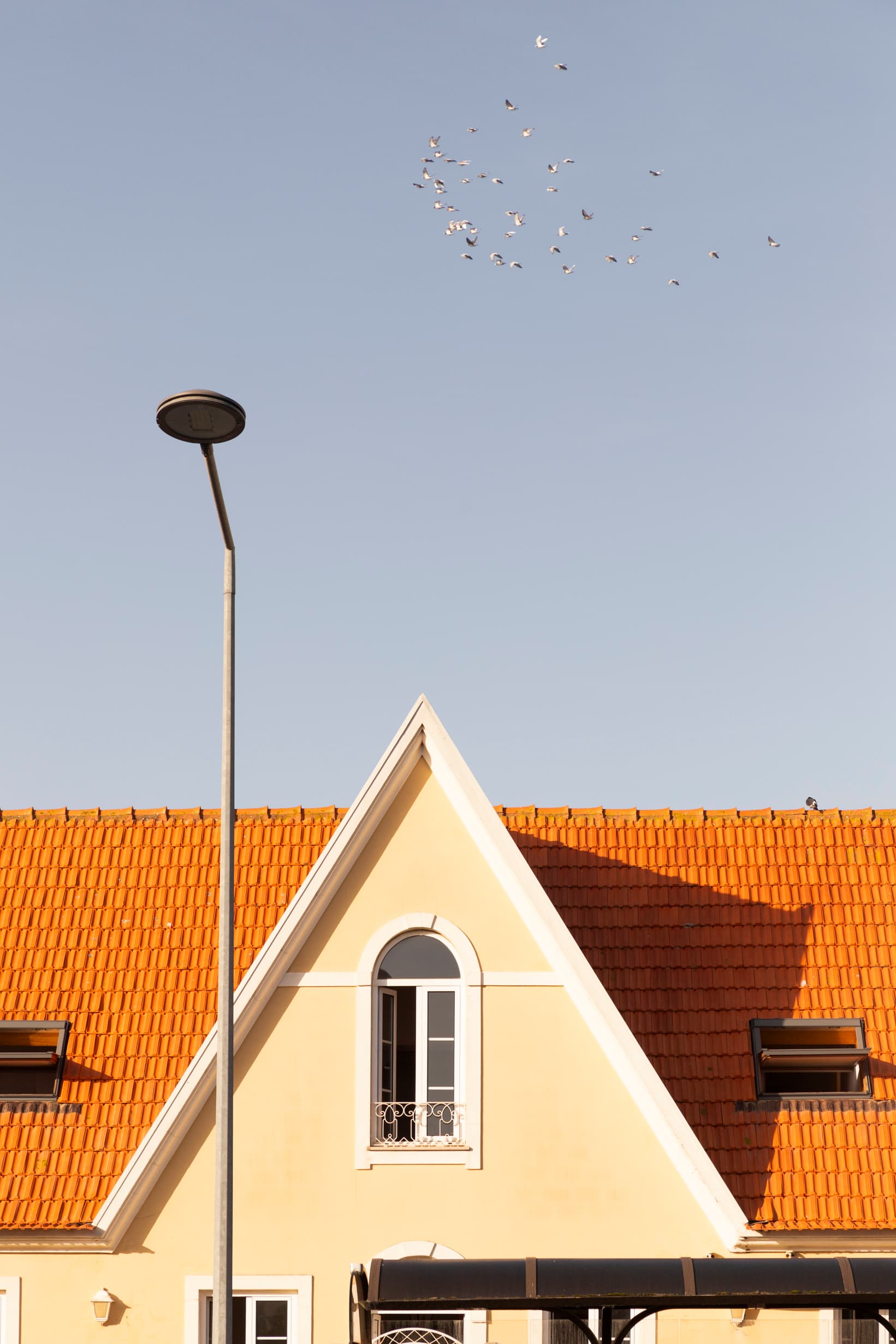 Casas Amarela - AL Praia da Barra - photo #44